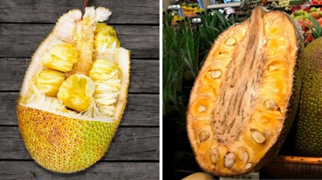 20 fruits exotiques les plus rares dont vous n’avez jamais entendu