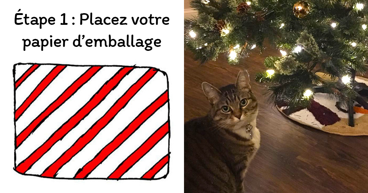 Comment Emballer Un Cadeau Quand Vous Avez Un Chat 8 Images Ipnoze