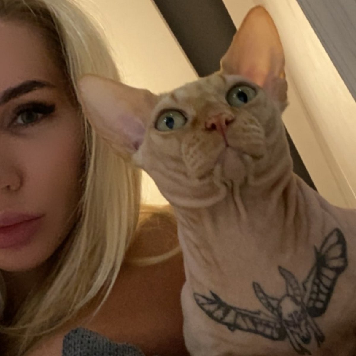 Cette Femme A Tatoue Son Chat Et Les Gens Viennent Juste De Decouvrir Qui Elle Est Ipnoze